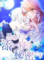 the-night-i-spend-with-the-mastermind-prince-is-my-secret_cover-1