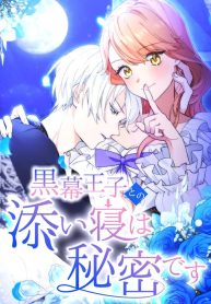 the-night-i-spend-with-the-mastermind-prince-is-my-secret_cover-1