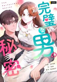 the-perfect-mans-secret_cover