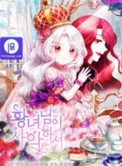 the-princess-is-evil_cover