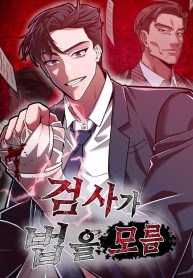 the-prosecutor-doesnt-know-the-law_cover