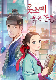 the-red-sleeve_cover