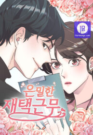 the-secret-work-from-home_cover