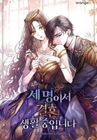 the-three-are-living-a-married-life_cover