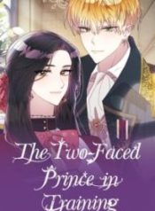 the-two-faced-prince-in-training_cover