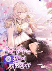 the-tyrant-princess-wants-to-get-married_cover