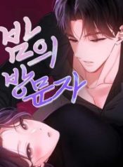 the-visitor-of-the-night_cover