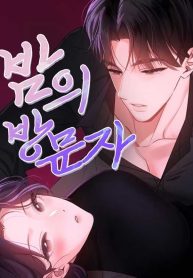 the-visitor-of-the-night_cover