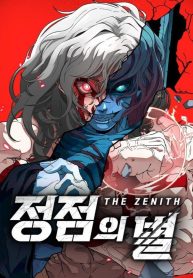 the-zenith_cover