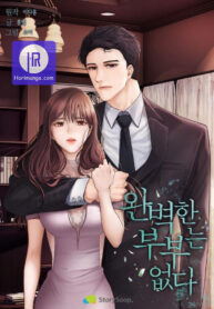 there-is-no-perfect-married-couple_cover