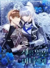 to-the-witch-who-forgot-the-birds_cover