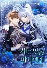 to-the-witch-who-forgot-the-birds_cover