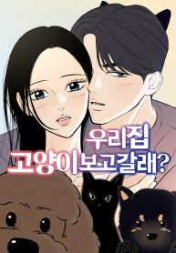 want-to-see-my-cat_cover