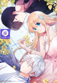 whatever-the-princess-desires_cover