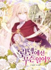 whats-happening-in-lindell_cover