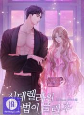 when-cinderellas-magic-fades-away_cover