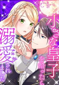 when-i-found-a-little-prince-i-was-captivated_cover