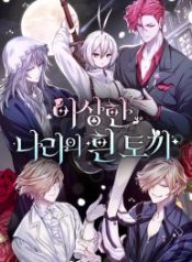 white-rabbit-in-wonderland_cover