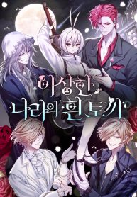 white-rabbit-in-wonderland_cover