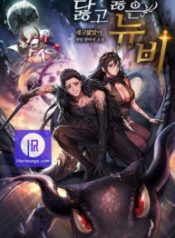 worn-and-torn-newbie_cover