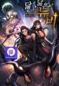 worn-and-torn-newbie_cover